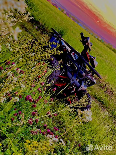Avantis Hunter 7 new 125