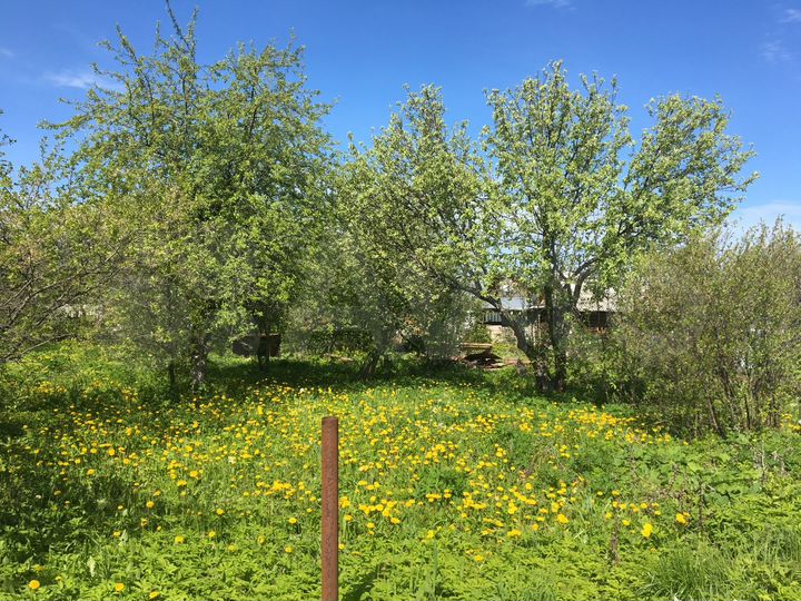 Участок 6 сот. (СНТ, ДНП)