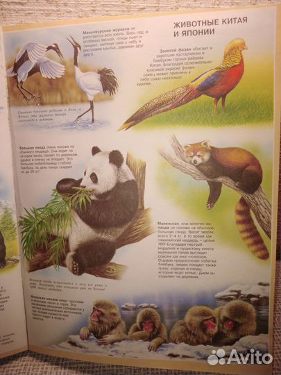 Книга Атлас животных