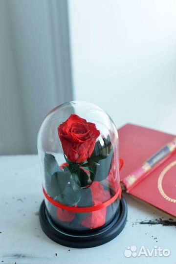 Роза в колбе - подарок для любимых