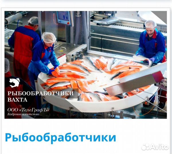 Рыбообработчик Обработчик рыбы