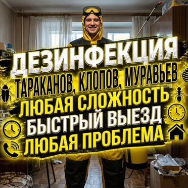 Уничтожение тараканов клещей дезинфекция