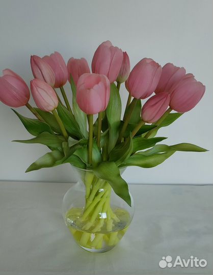 Цветы тюльпаны