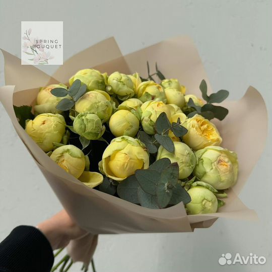 Розы Эквадор кустовые эвкалипт