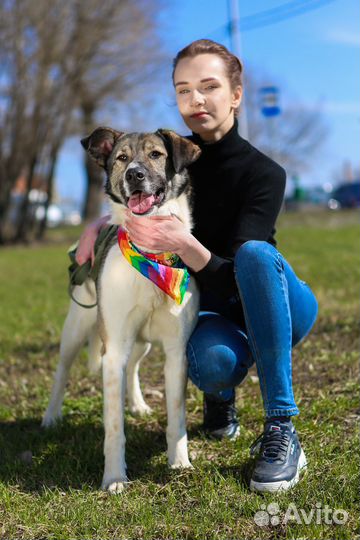 Собака в добрые руки Лего