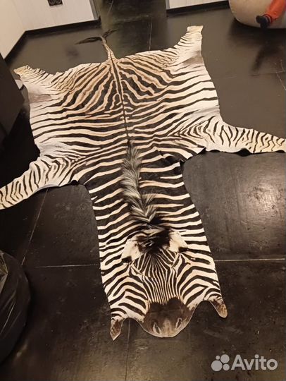 Шкура Зебры юар