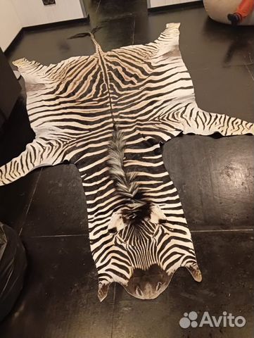Шкура Зебры юар