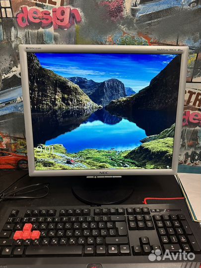 Монитор Nec 90 GX2 PRO MultiSync. 19 дюймов