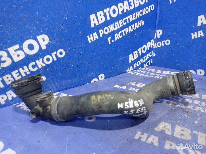 Патрубок охлаждения Bmw E53 кроссовер M54B30 2004