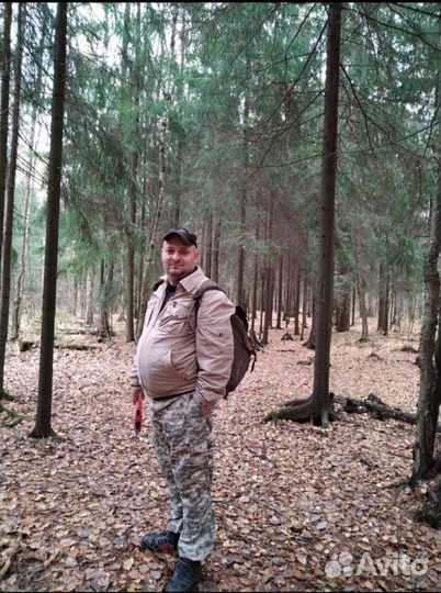 Выгул собак