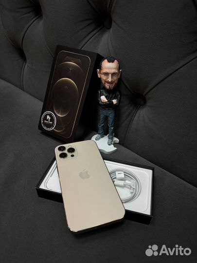 iPhone 12 Pro Max, 256 ГБ