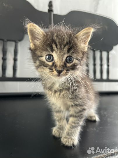 Очаровательные малыши