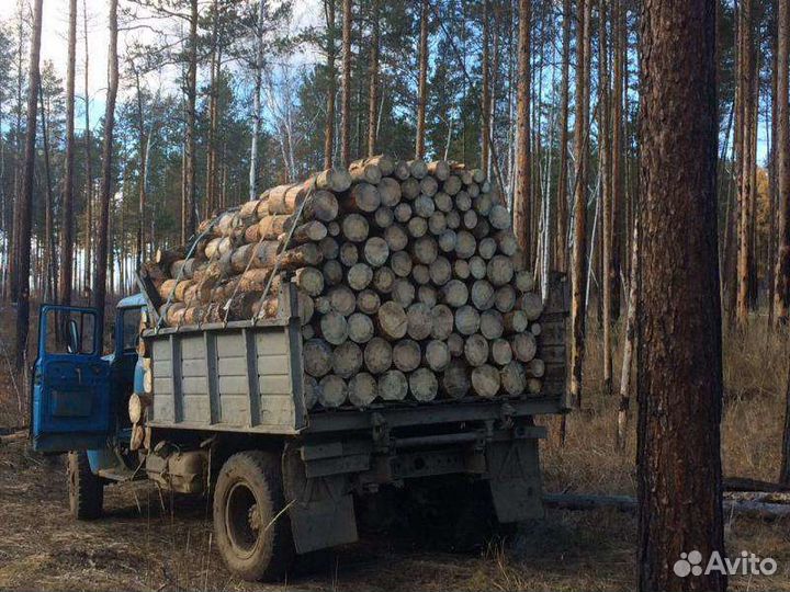 Дрова сухие