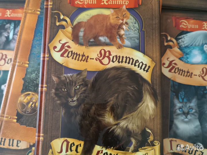 Книги из серии 