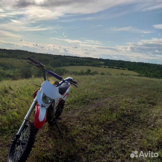 Питбайк Kayo 125