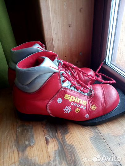 Лыжные ботинки