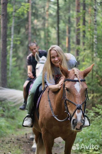 Конная прогулка по лесу