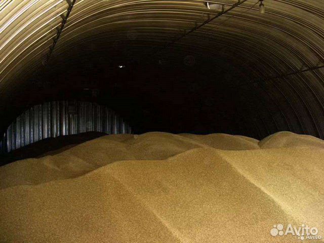 Зерно Пшеница, Ячмень урожай 2022года