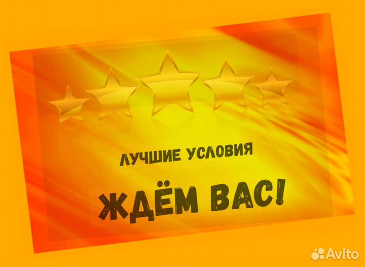 Кладовщик без опыта Еженедельные выплаты Одежда