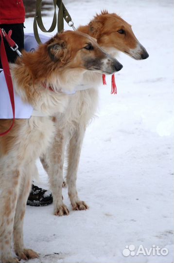 Экскурсия 