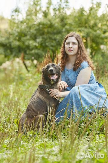 Марли так хочет быть любимым