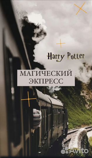Шоу Гарри Поттер в поезде Москва