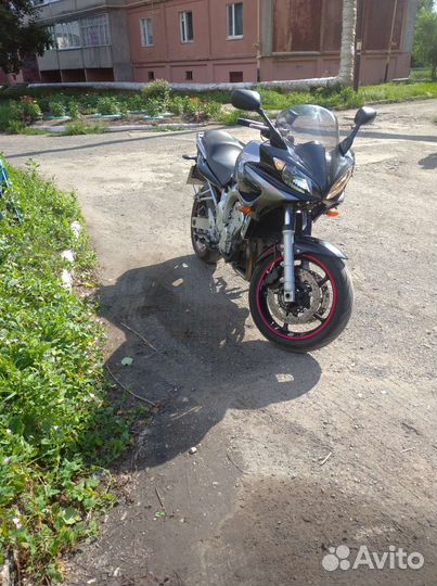 Yamaha FZ6s
