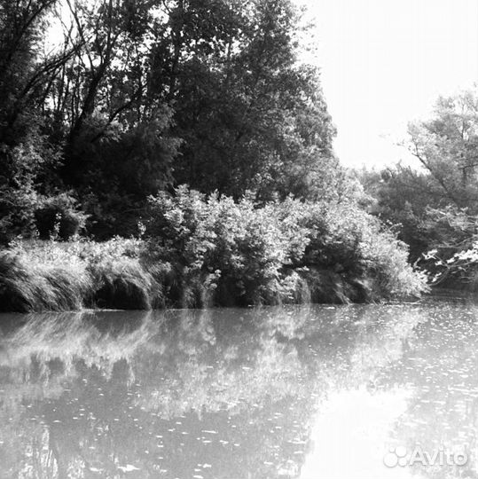 Проявка ч/б фотоплёнкии, сканирование плёнки