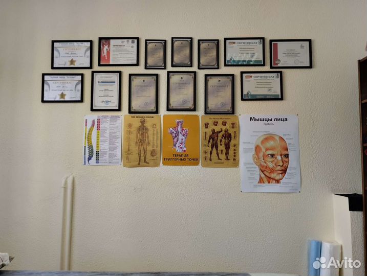 Prof массаж Мануальная (Миофасциальная) техника