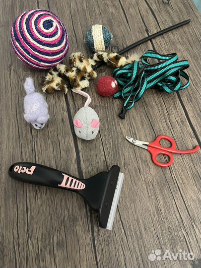 Предметы ухода и игрушки для кошки
