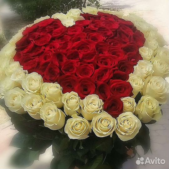 101Роза Сердце