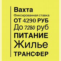 Вахта без задержек/Комплектовщик/С проездом