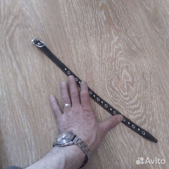 Шлейка + ошейник для небольшой собаки