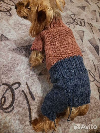 Свитер для собаки