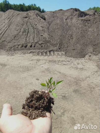 Мешки навоза крс объемом 25 л