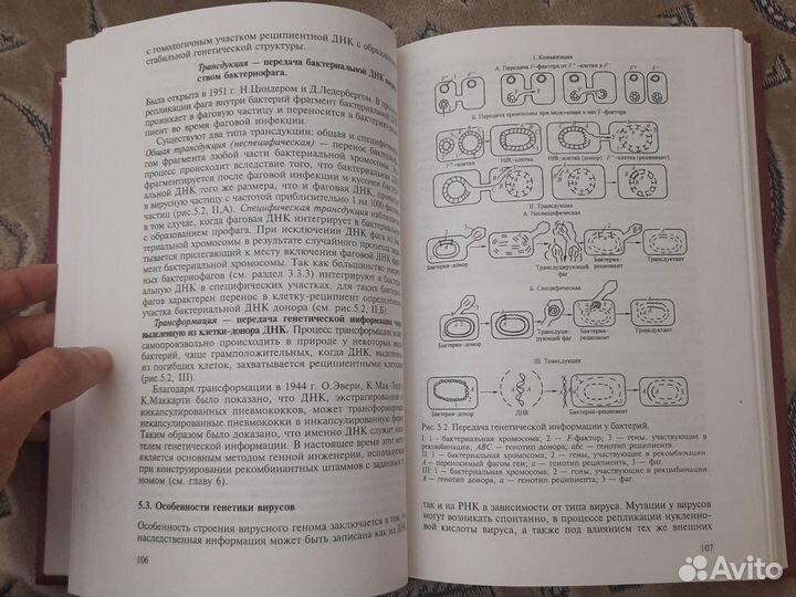 Микробиология и иммунология под ред. Воробьева