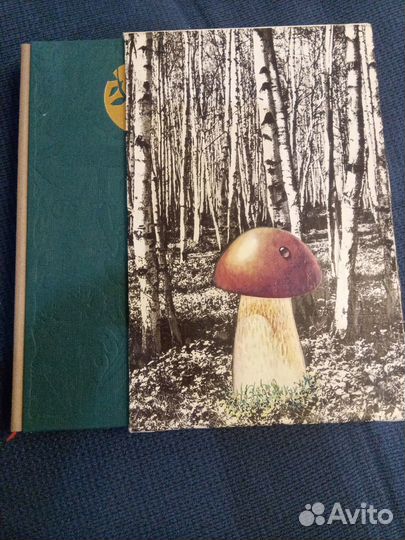 Книга 