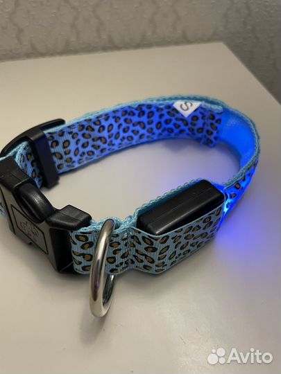 Ошейник для собак