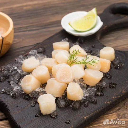 Морской гребешок