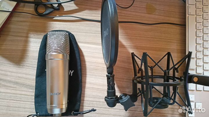 Студийный конденсаторный микрофон Tannoy TM1