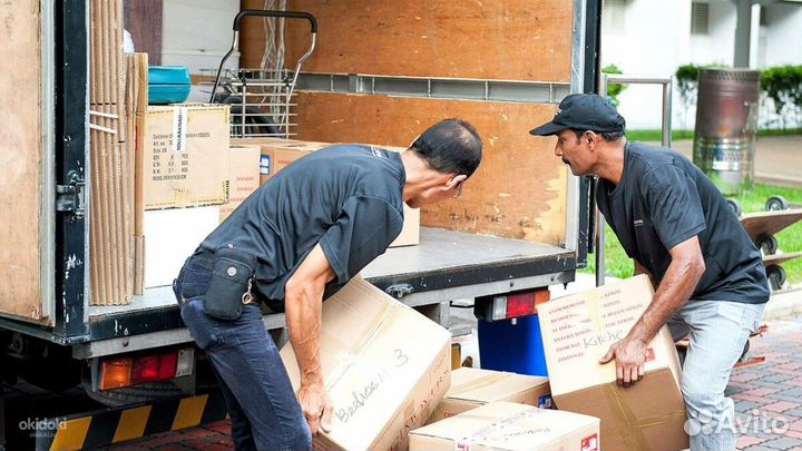 Грузчик ежедневная оплата