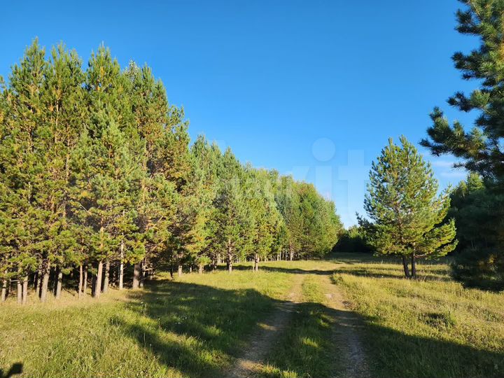 Участок 10,4 сот. (ИЖС)