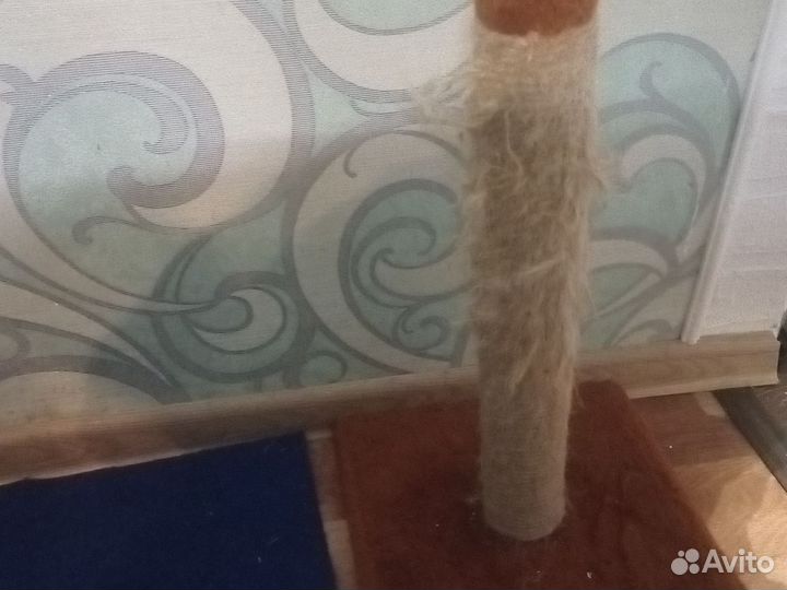 Когтеточка для кошек