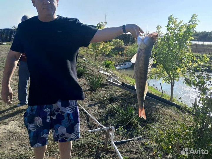 Рыбалка в астраханской обл