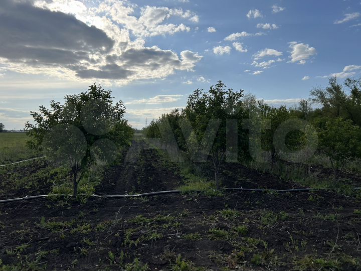 Участок 24 га (СНТ, ДНП)