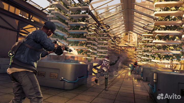 Watch Dogs2 - Gold Edition Xbox