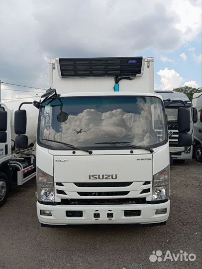 Isuzu Elf (N-series), 2023