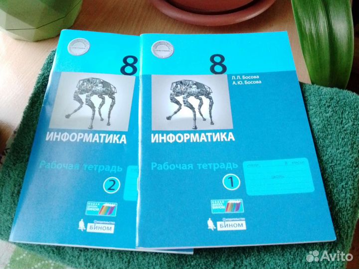 Рабочая тетрадь по информатике 2 части