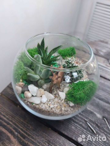 Флорариум с суккулентами и кактусами