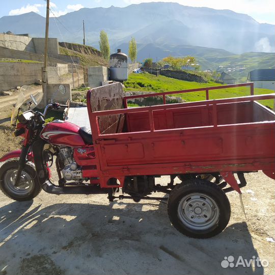Трицикл грузовой